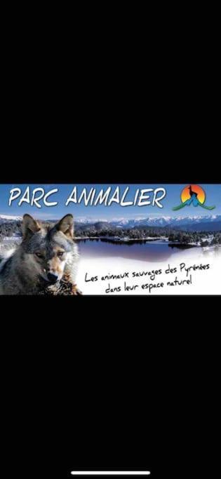 Appartement avec vue sur le lac de matemale Les Angles  Extérieur photo